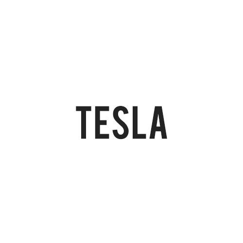 Tesla Rubber Mats