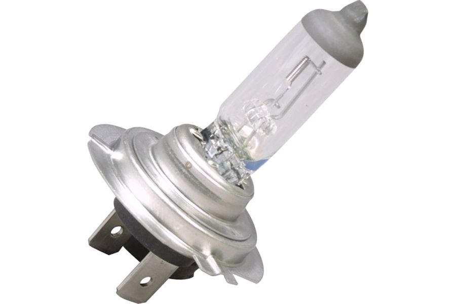 Bulbs 12 Volt